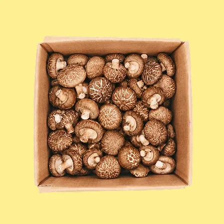 ⭐️표고버섯(특, 수입산) 1kg⭐️