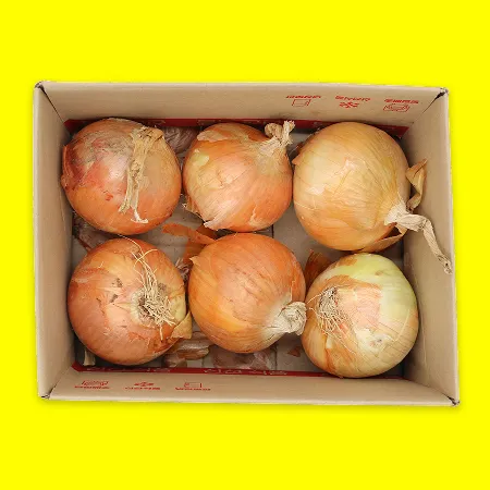 하루 양파 국내산 1번 2kg (EA)