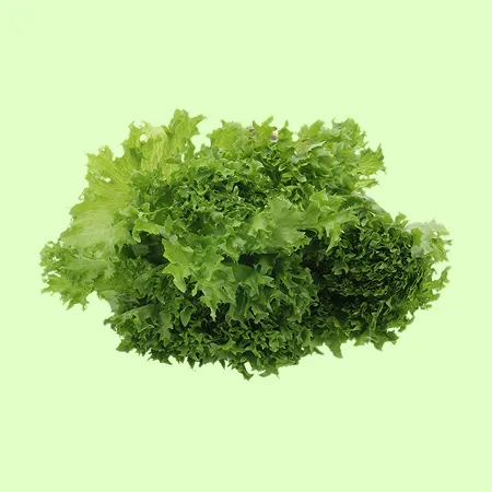 ⭐️프릴아이스 샐러드채소 (500g/EA)⭐️