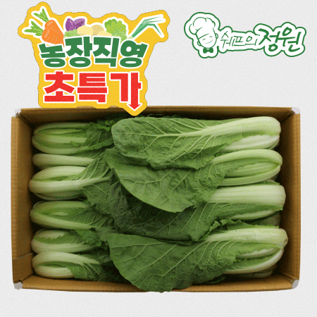 ❤️얼갈이 배추 (상 4kg/BOX)❤️
