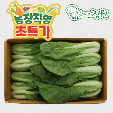 ❤️얼갈이 배추 (상 4kg/BOX)❤️