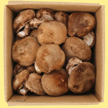 버섯  표고버섯(실속 국내산) 1kg