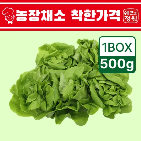 ⭐️버터헤드 샐러드채소 (500g/EA)⭐️