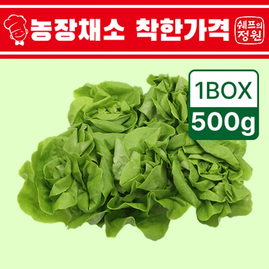 ⭐️버터헤드 샐러드채소 (500g/EA)⭐️ 이미지