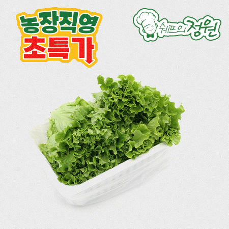 ⭐️카이피라 유럽상추 포기상추 샐러드채소 (500g/EA)⭐️