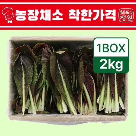 ❤️치콘 (상 2kg/BOX)❤️