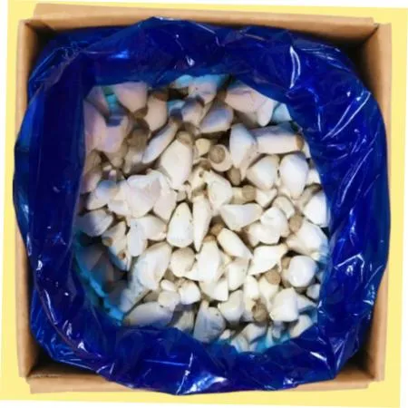 버섯  콩알  새송이버섯(소)  2kg