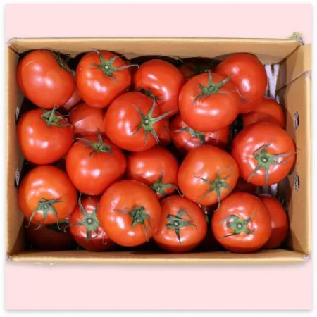 토마토 유럽종 완숙 대과(17-26과) 5kg
