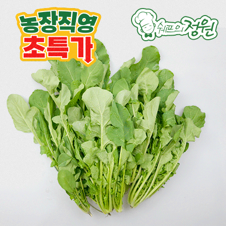 ⭐️루꼴라 로케트 아루굴라(1kg/EA)⭐️