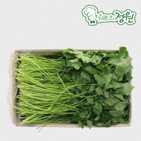❤️참나물 (상 4kg/BOX)❤️