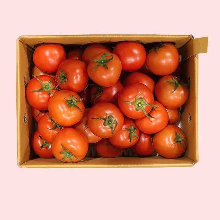 ❤️유럽종 완숙토마토 소과(30-40과) 5kg❤️