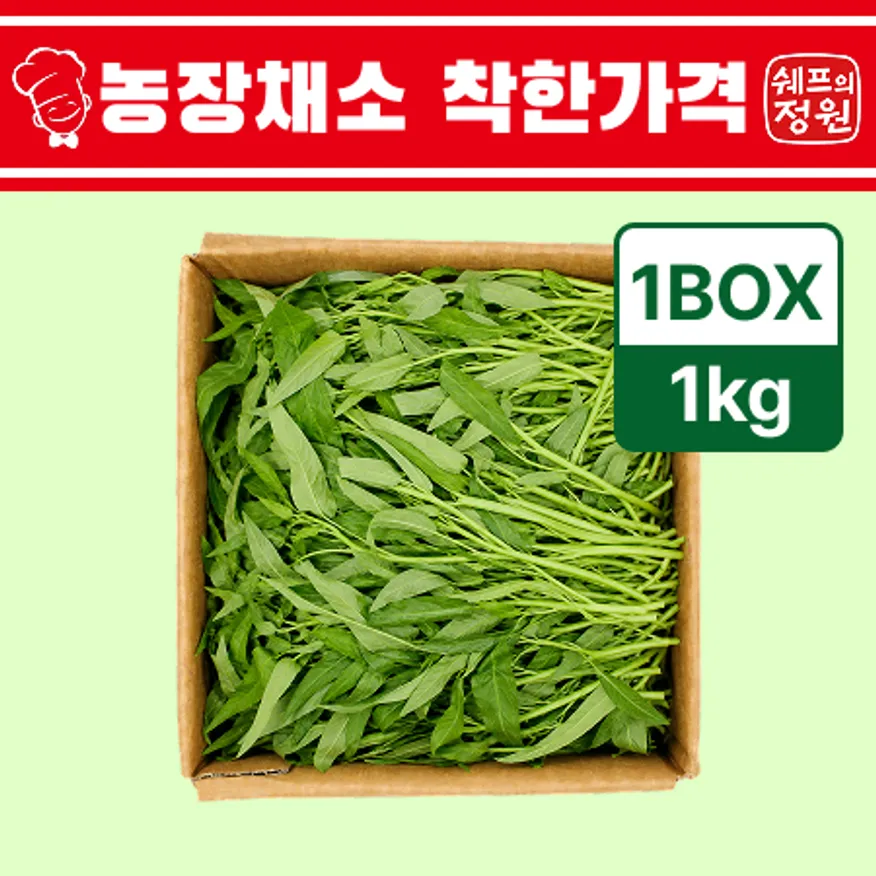 ⭐️공심채 (1kg/EA) ⭐️ 이미지