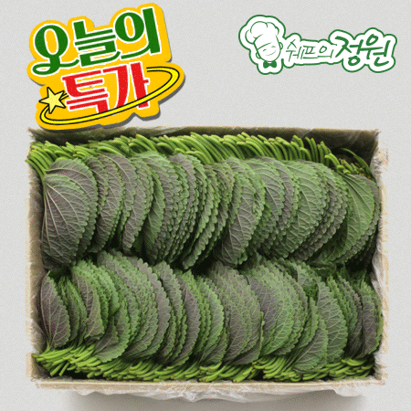 ⭐️깻잎 찹찹 쌈용 상 (1kg/EA)⭐️