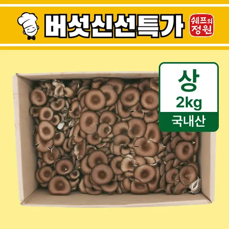 ❤️느타리버섯 (종이박스 2kg)❤️