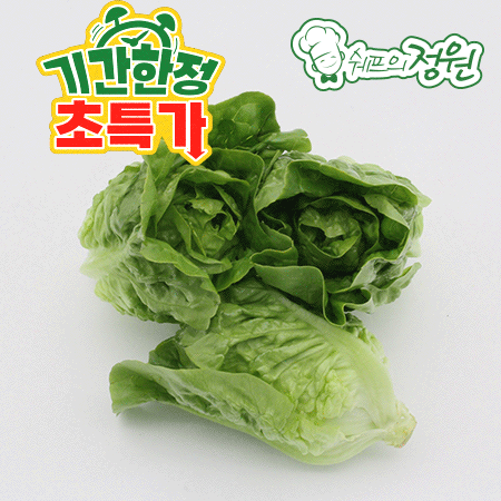 ⭐️미니코스 베이비 통로메인 샐러드채소 (500g/EA)⭐️