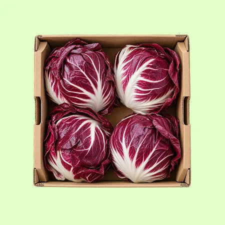 ⭐️라디치오 1kg(2통-4통 크기랜덤) 국내산⭐️
