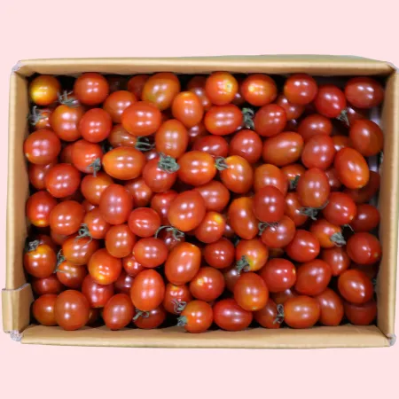 토마토 대추방울 대과 3kg