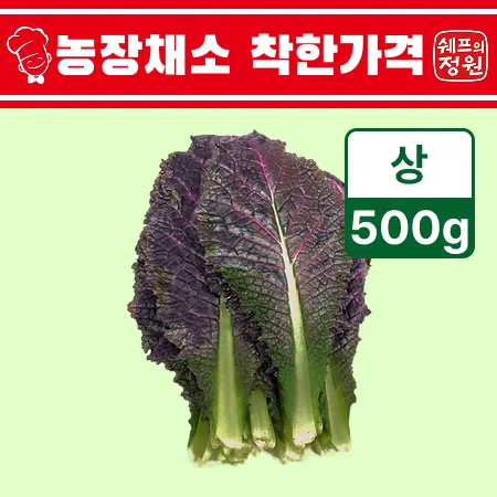 ⭐️적겨자잎 (상 500g/EA️)⭐️