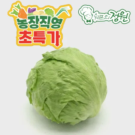 ⭐️양상추 국산 개별포장 1통⭐️