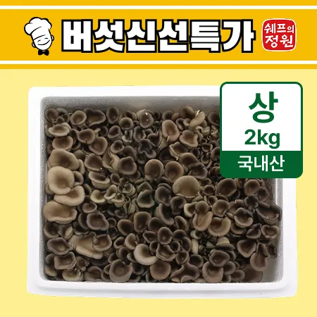 ❤️느타리버섯 스치로폼 (상 2kg/BOX)❤️