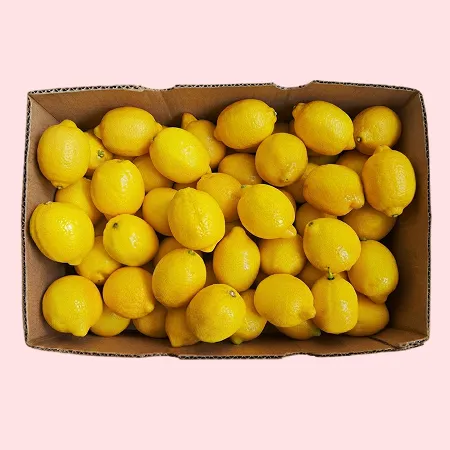 레몬 165과 (18kg/BOX)
