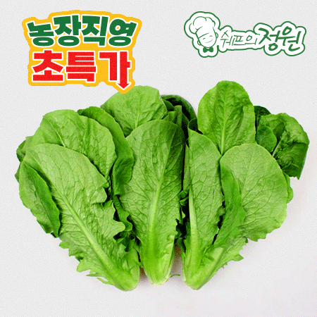 ⭐️통로메인 샐러드채소(1kg/EA)⭐️