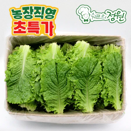 ❤️청상추 (상 4kg/BOX)❤️