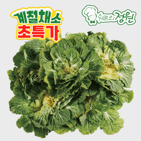 ⭐️봄동배추 (1kg/EA)⭐️