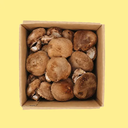 ⭐️표고버섯(실속 국내산) 1kg⭐️