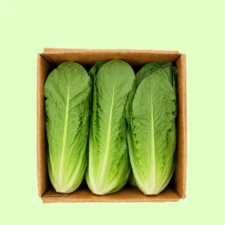 ⭐️통로메인 샐러드채소(1kg/EA)⭐️