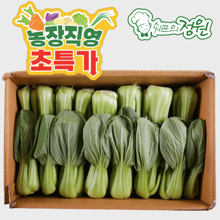 ❤️청경채 (상 4kg/BOX)❤️