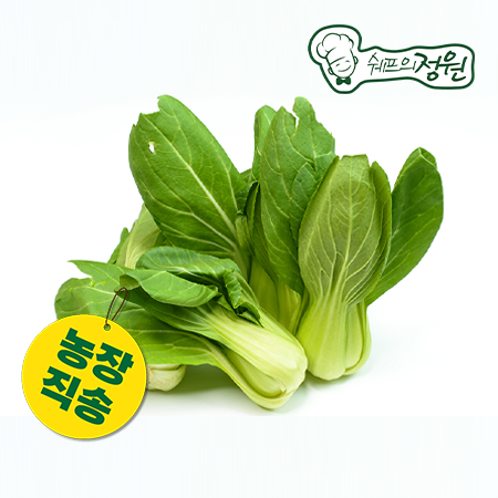 ❤️청경채 (상 4kg/BOX)❤️