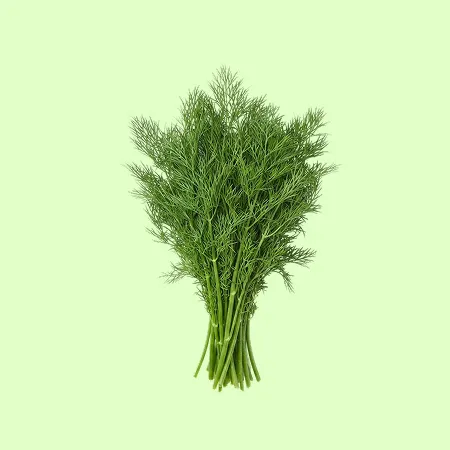 ⭐️허브 딜 Her⭐️ DILL (100g/봉)⭐️