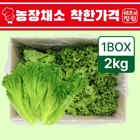 ⭐️프릴아이스 샐러드채소 (2kg/EA)⭐️