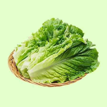 ⭐️로메인상추 (상 500g/EA️) ⭐️