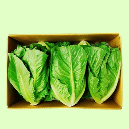 ❤️통로메인 샐러드채소 (2kg/BOX)❤️