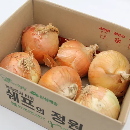 하루 양파 국내산 1번 2kg (EA) 이미지