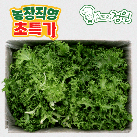 ❤️치커리 (상 2kg/BOX)❤️