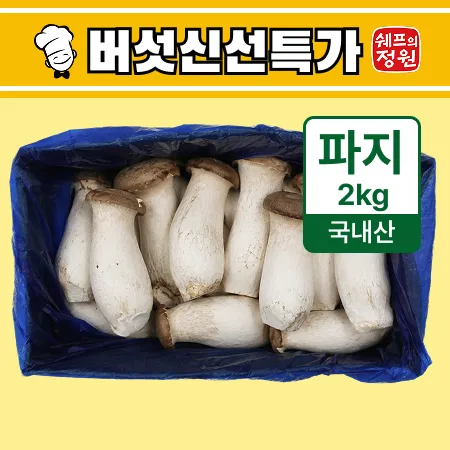⭐️새송이버섯(파지,반찬용) 2kg⭐️