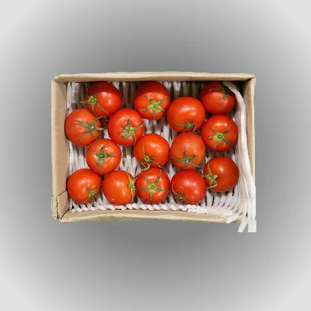 ❤️유럽종 완숙토마토 소과(12과~16과) 2kg❤️