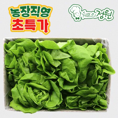 ⭐️버터헤드 샐러드채소 (2kg/EA)⭐️