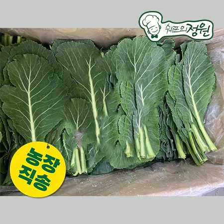 ★농장특가★ 쌈케일 (쌈용2kg/EA)  [쉐프의정원 농장직영 채소]
