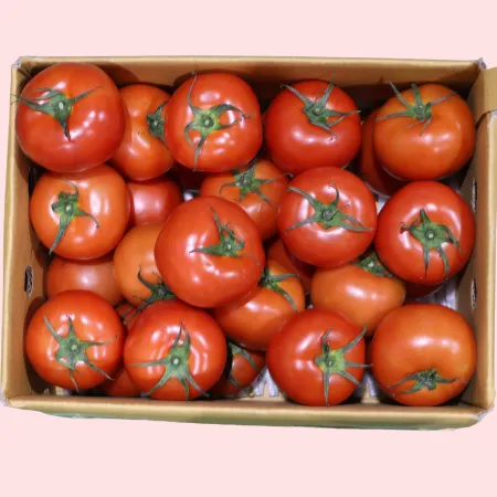 토마토 유럽종 완숙  중과(26-33과) 5kg