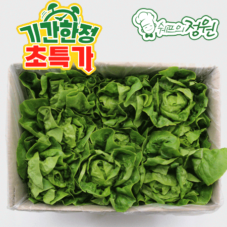 ⭐️미니코스 베이비 통로메인 샐러드채소 (2kg/EA)⭐️