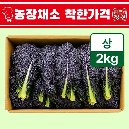 ❤️적겨자잎 (상 2kg/BOX)❤️