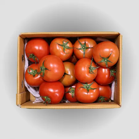 ❤️유럽종 완숙토마토 대과 3kg❤️