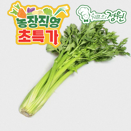 ⭐️샐러리 셀러리 세러리 (1단 1kg내외/EA)⭐️