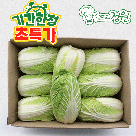 ❤️알배기배추 (실속12입  6kg 내외/BOX)❤️
