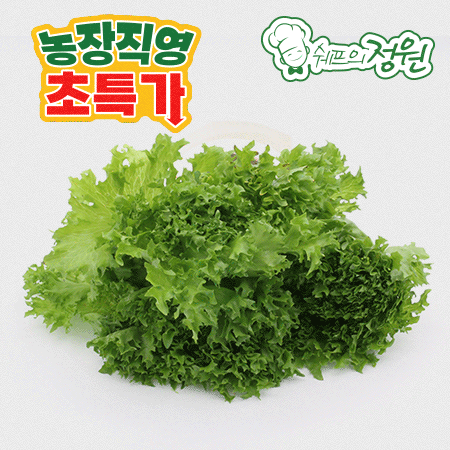 ⭐️프릴아이스 샐러드채소 (2kg/EA)⭐️