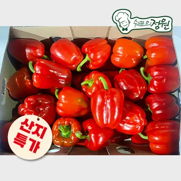 ❤️파프리카 빨강 (5kg/BOX)❤️